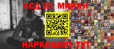 apvp Можга