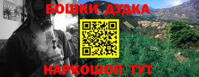 apvp Можга