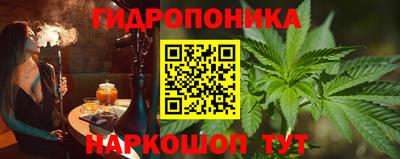 apvp Можга