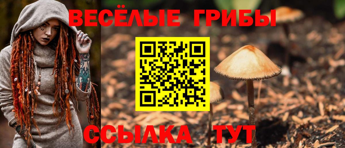 Галлюциногенные грибы ЛСД Богданович