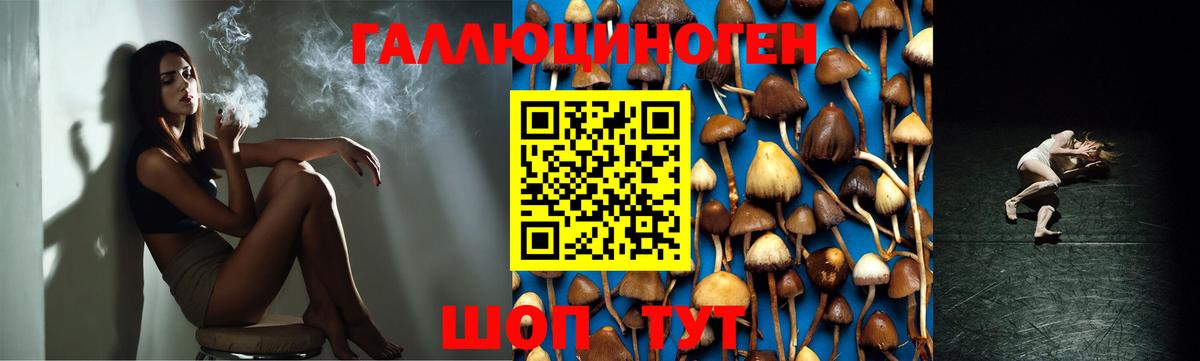 Богданович  Псилоцибиновые грибы мухоморы  дарнет шоп  Вход с VPN 